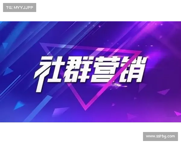 创作者社群运营深化，促进内部交流与经验共享